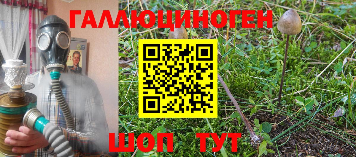 Галлюциногенные грибы MAGIC MUSHROOMS Керчь